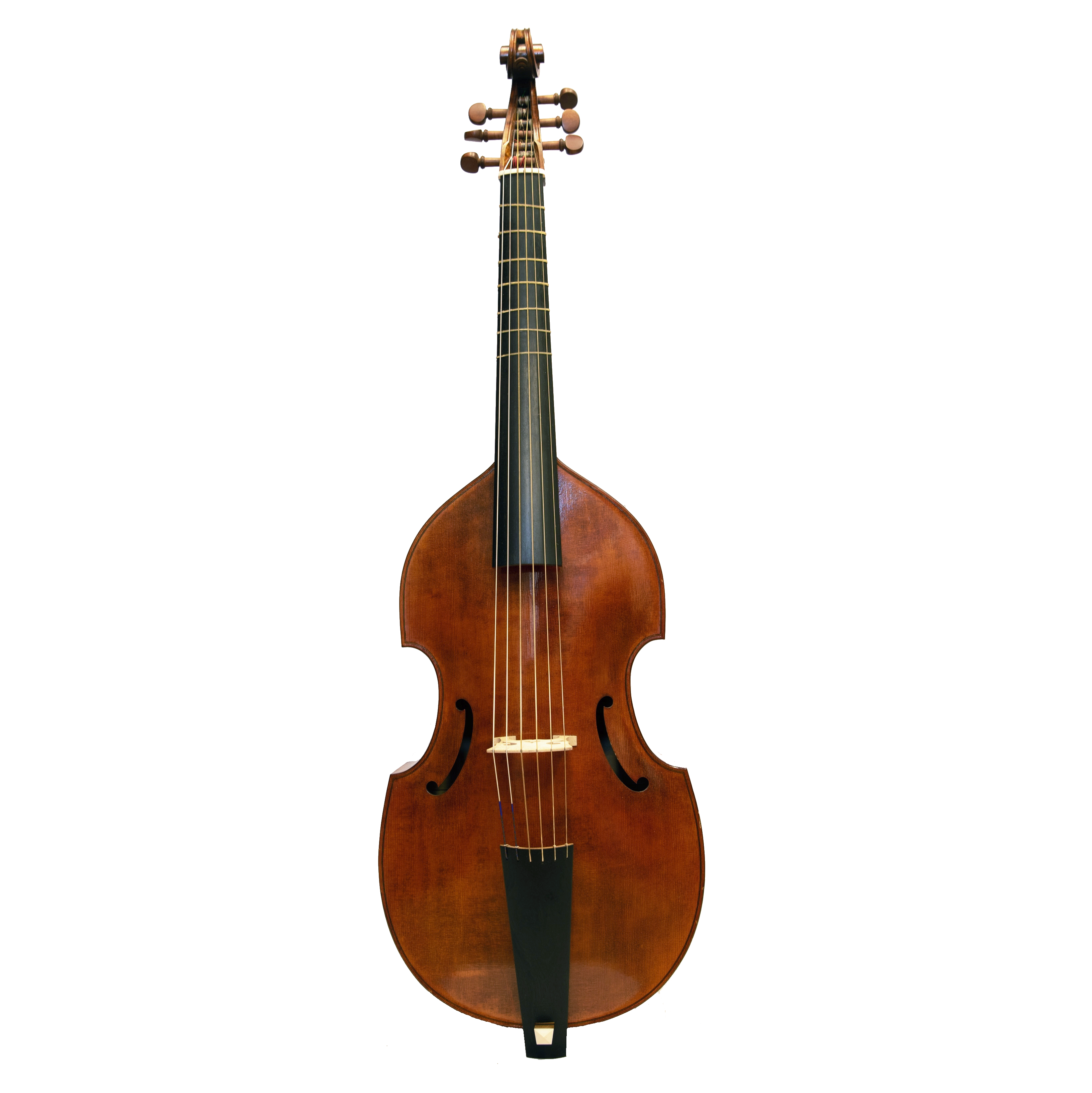 Viola da gamba